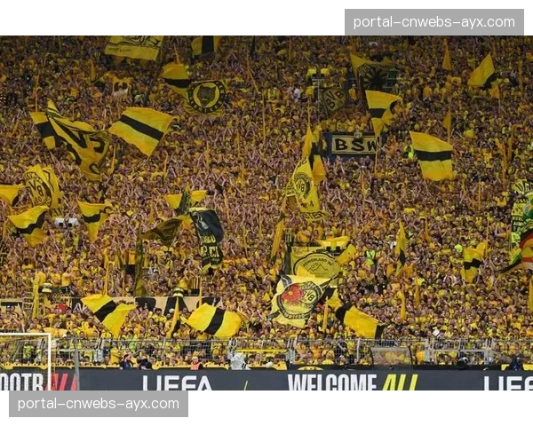 极端天气：多特蒙德主场突降冰雹，比赛中断15分钟